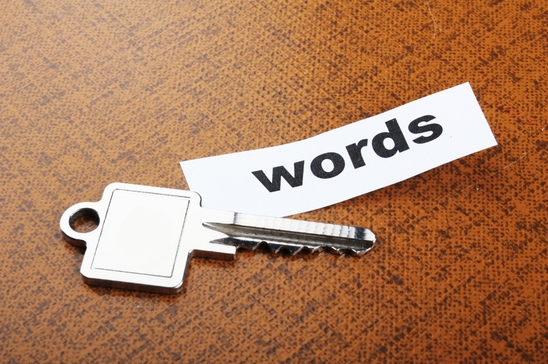 LNIM054 — Niche Keyword Competition
