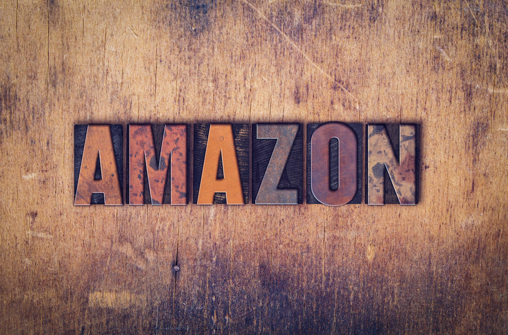 Amazon Affiliate Commission Rate Changes Explained [LNIM129]