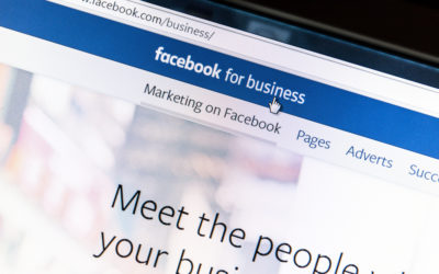 Understanding Facebook Ad Manager: Ad Campaigns Explained [LNIM134]